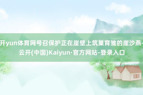 开yun体育网号召保护正在崖壁上筑巢育雏的崖沙燕-云开(中国)Kaiyun·官方网站-登录入口