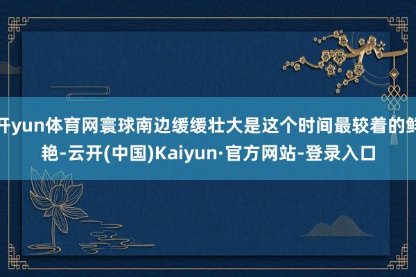 开yun体育网寰球南边缓缓壮大是这个时间最较着的鲜艳-云开(中国)Kaiyun·官方网站-登录入口